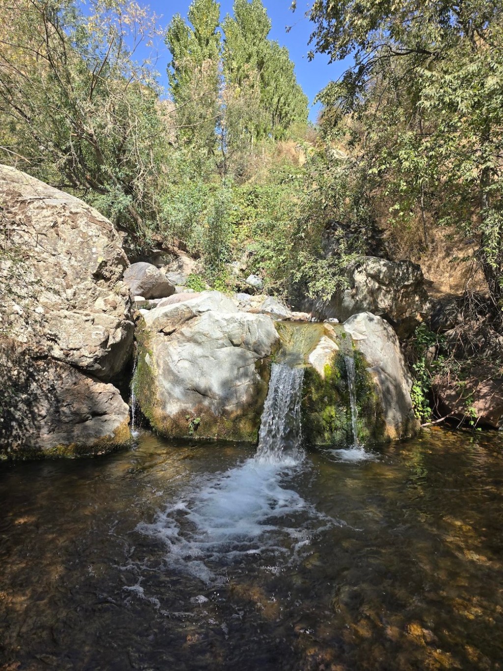 Zimchurud Gorge: Cold Water, Old Walnuts, and a Perfect Summer&nbsp;Escape