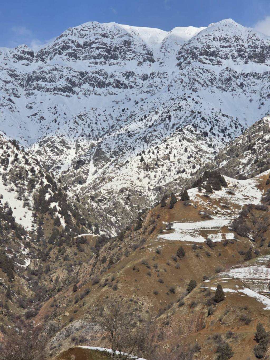 🏔️ Red Mountain Daydreams: A Winter Scouting Hike on&nbsp;Surkhnu