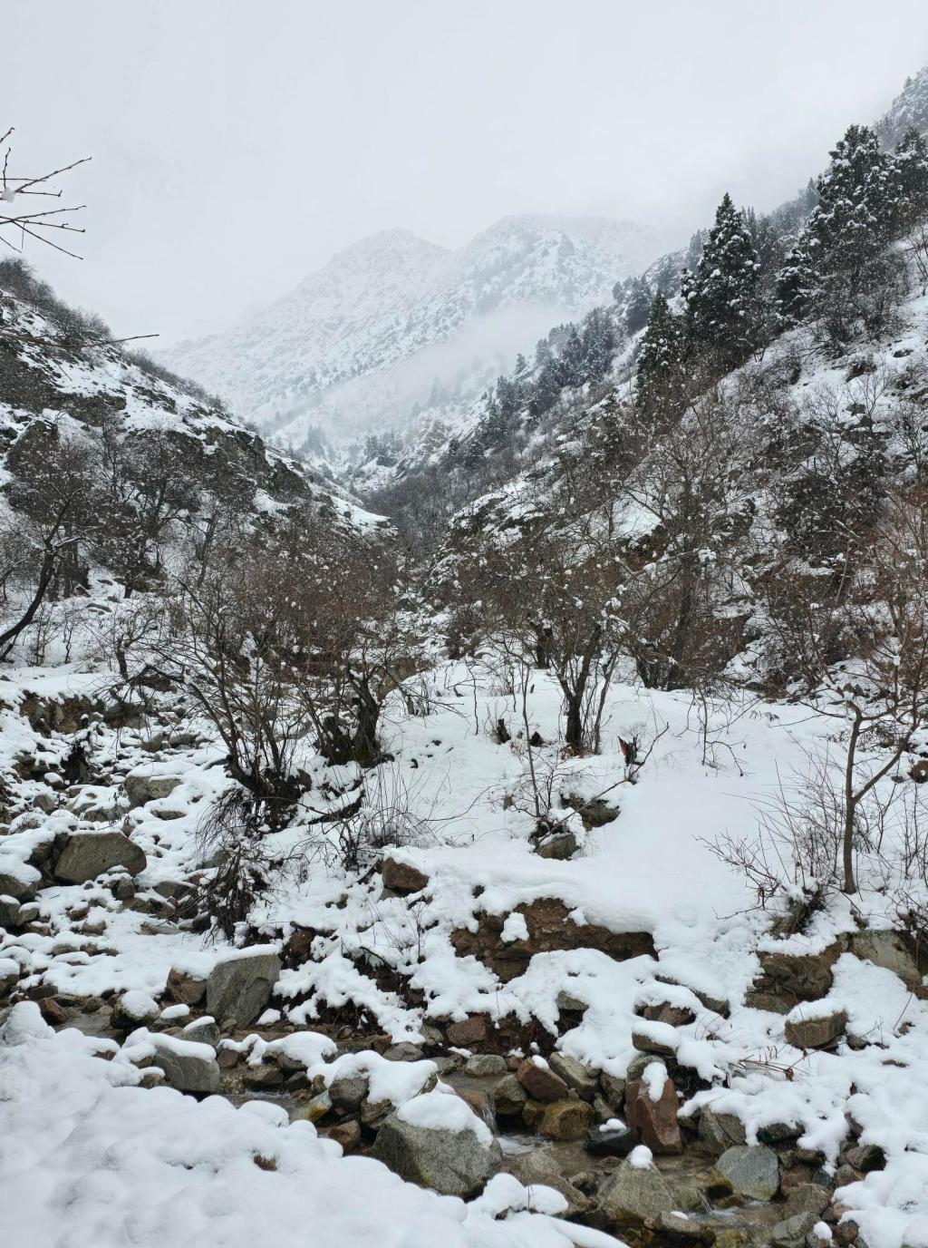 Chaika: A Place That Still Wants&nbsp;Exploring