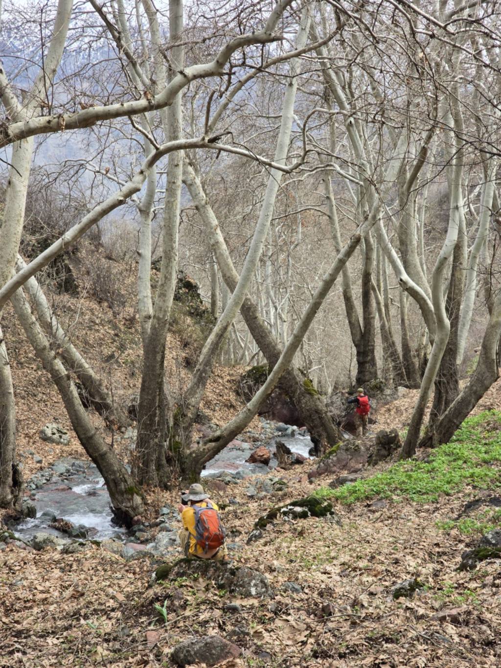 Another Saturday in Varzob: Gusgarf Waterfall & Pioneersky&nbsp;Pass