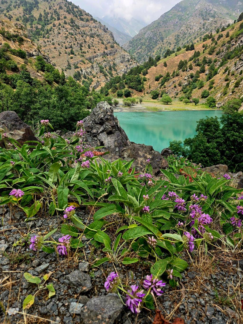 Kuli Juazak: The Long Way&nbsp;In