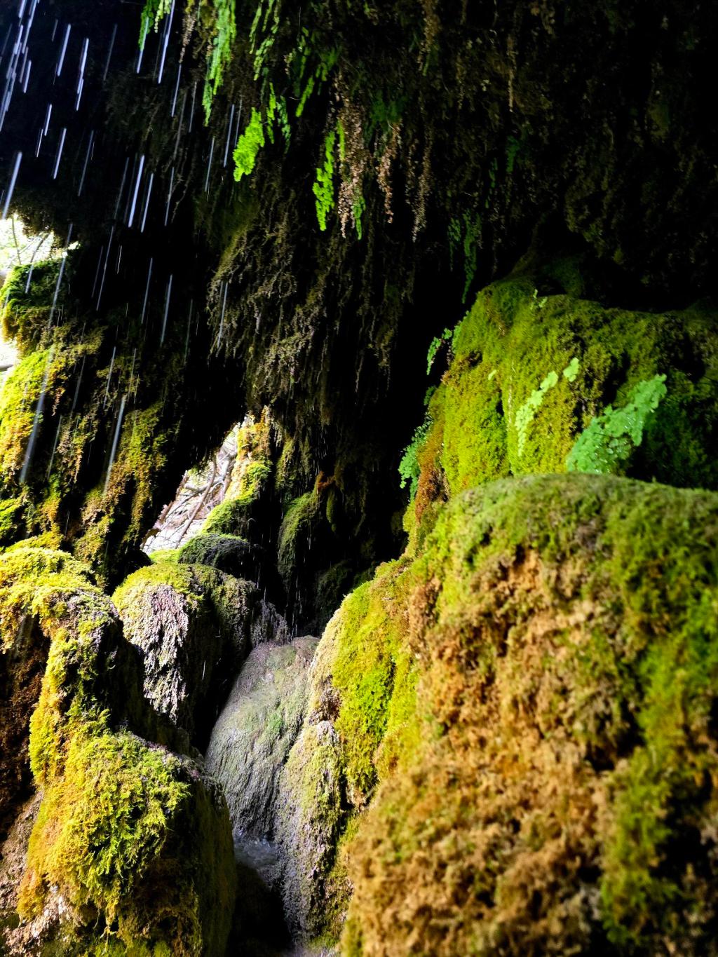 Patra Waterfalls — A Hidden Oasis in the Dry&nbsp;Hills