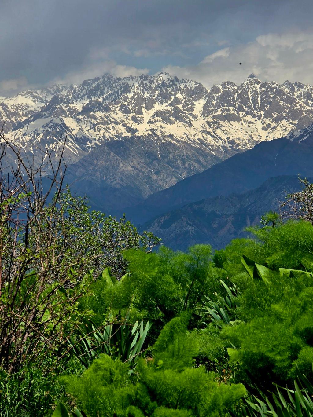 Chorbed in Spring