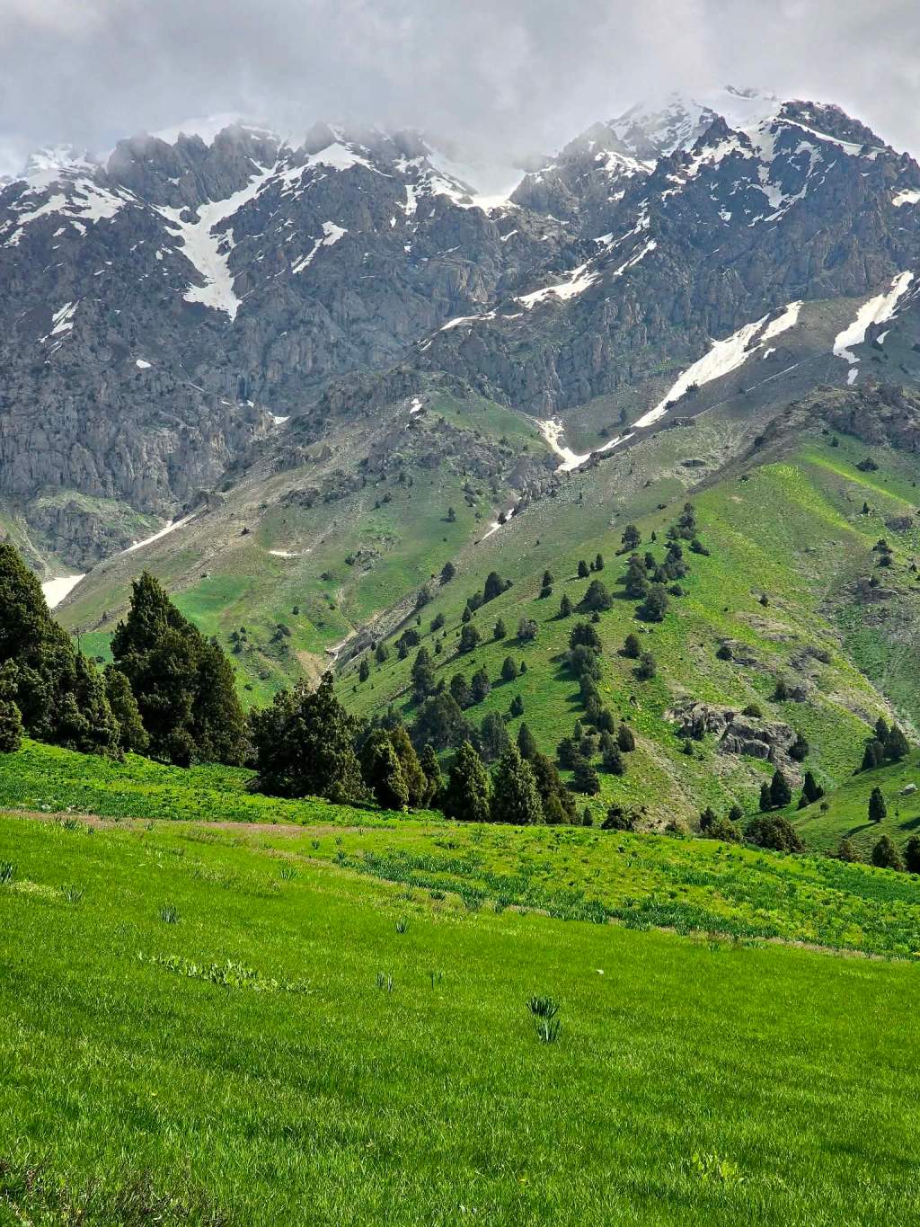 Into the Meadows of Khoja&nbsp;Hasan